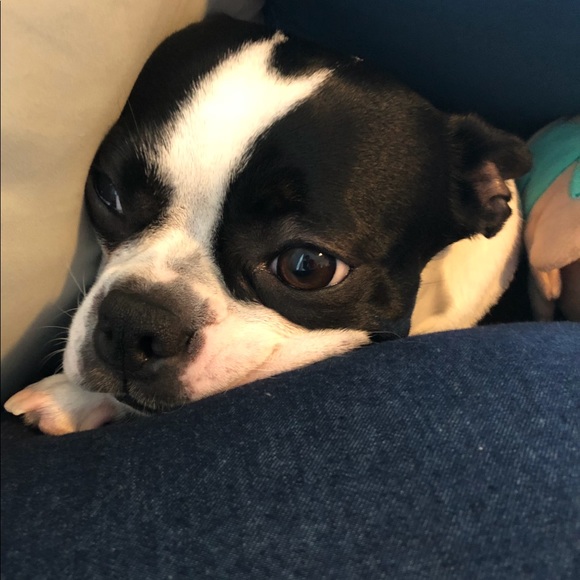 Welcome to L&S Journey...💞 - Picture 3 of 5